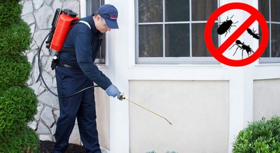 Burhaniye Fare İlaçlama böcek ilaçlama ve haşere kontrolü — ilaclama-tr.com